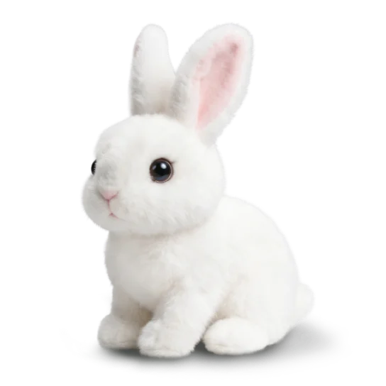 1 lapin robot Rabsy
